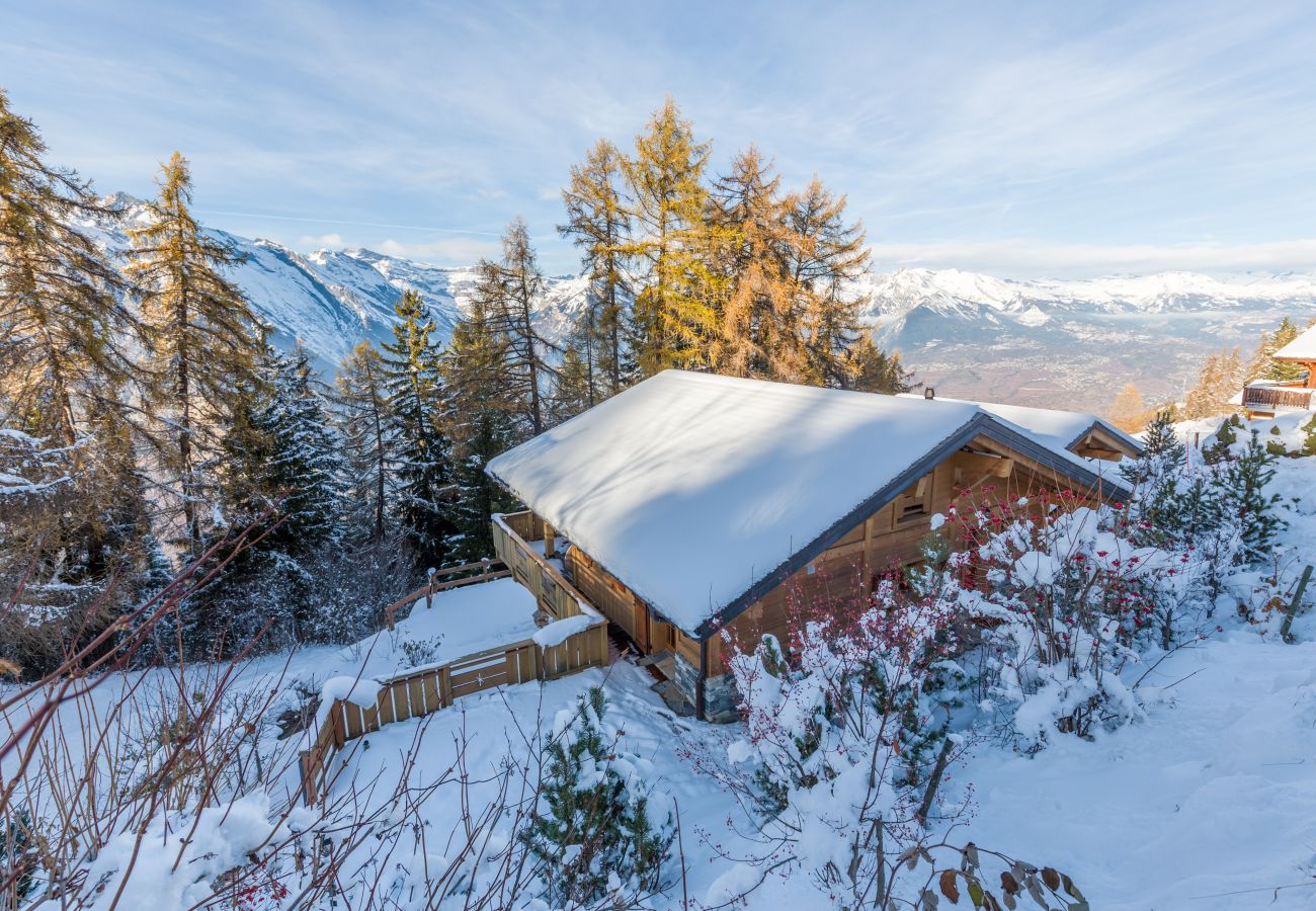 Chalet Le Troll Altiservices Nendaz 4 Vallées ski