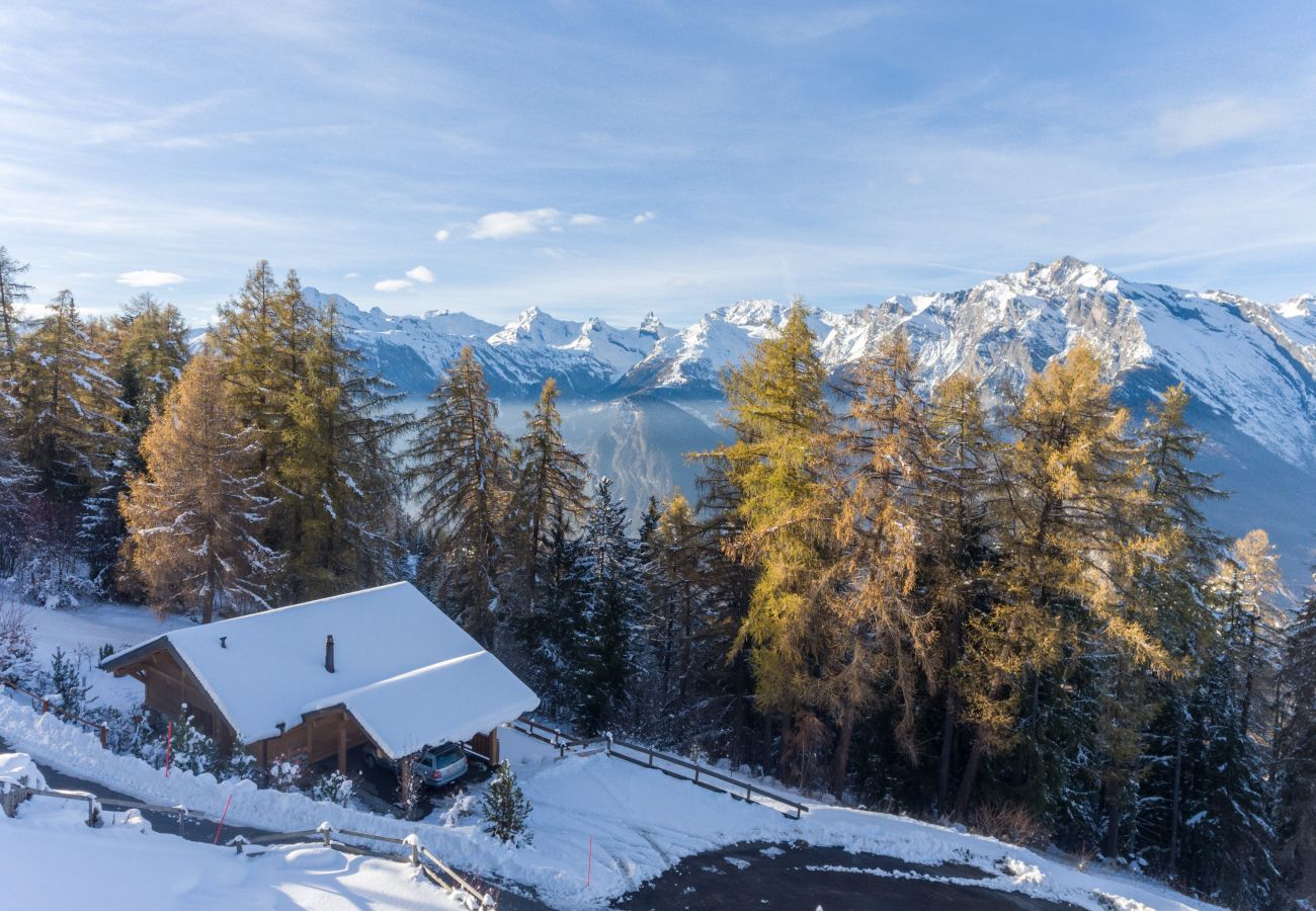 Chalet in Haute-Nendaz - Chalet Le Troll - Nendaz 4 Vallées