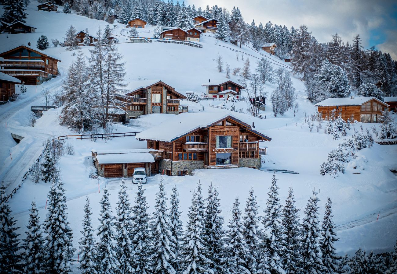 Chalet in Haute-Nendaz - Luxury Alps Chalet YOLO