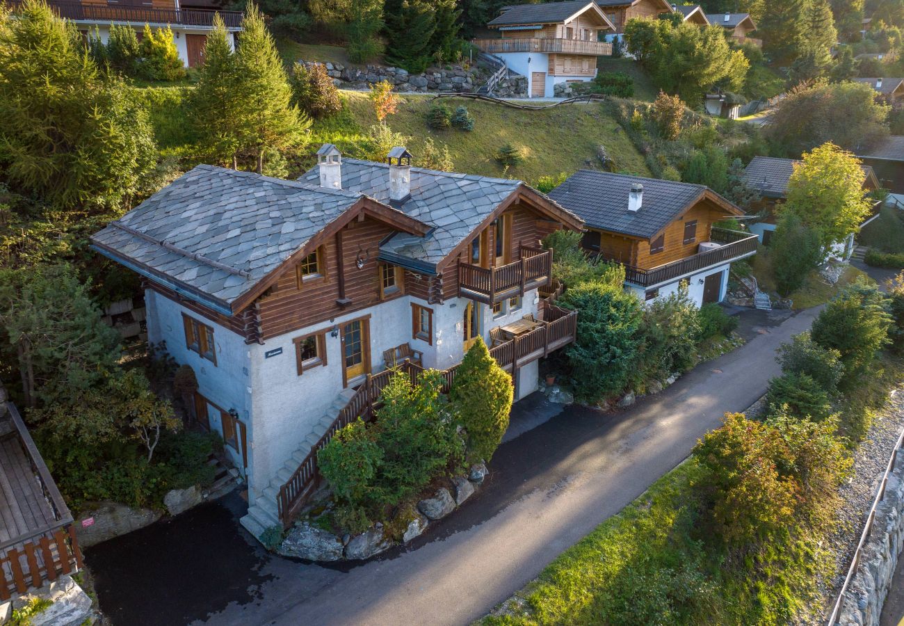 Chalet in Haute-Nendaz - Chalet Marianne - cosy, Nendaz, 4 Vallées