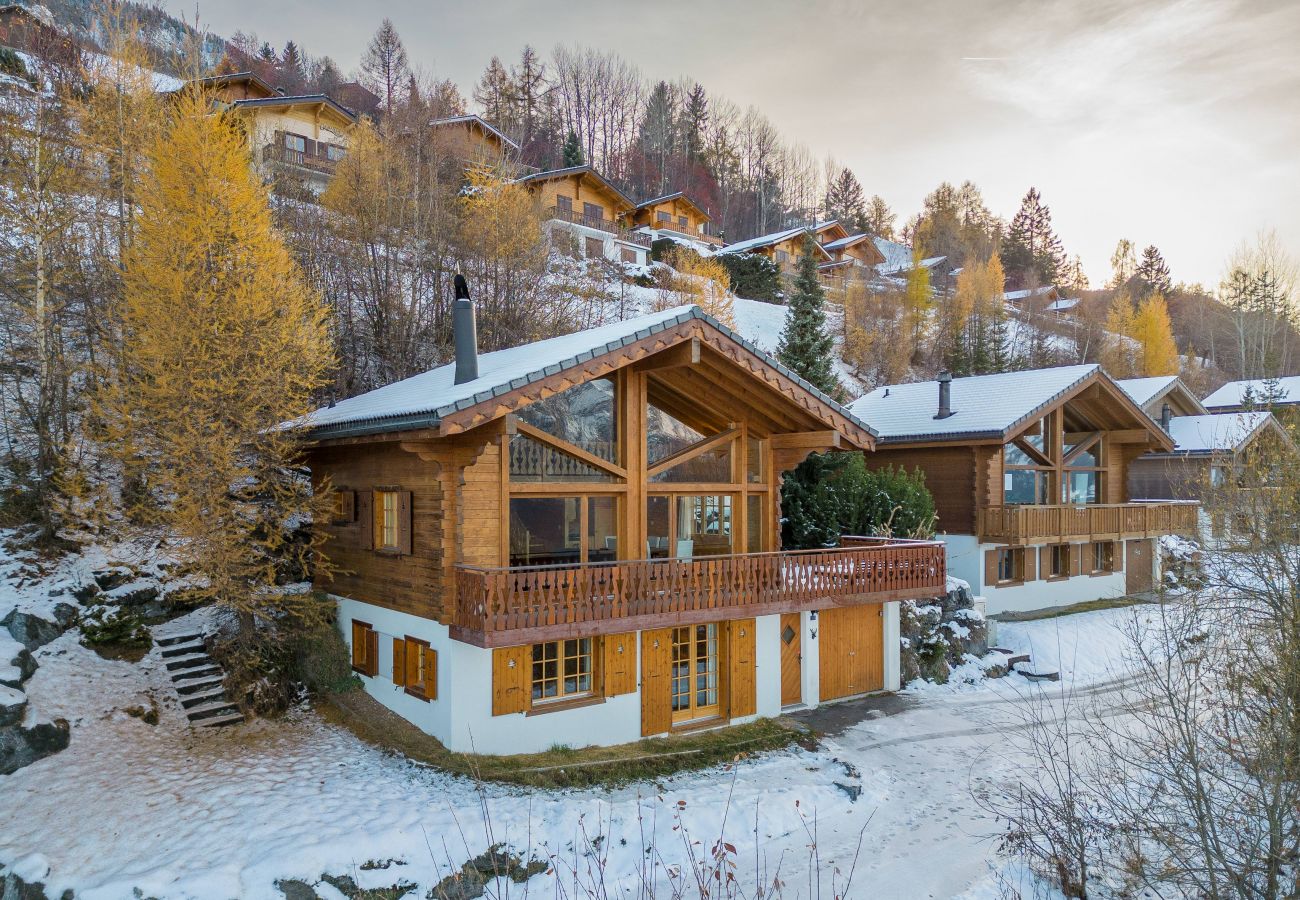 Chalet in Haute-Nendaz - Chalet Ciel de Lit - Vue imprenable