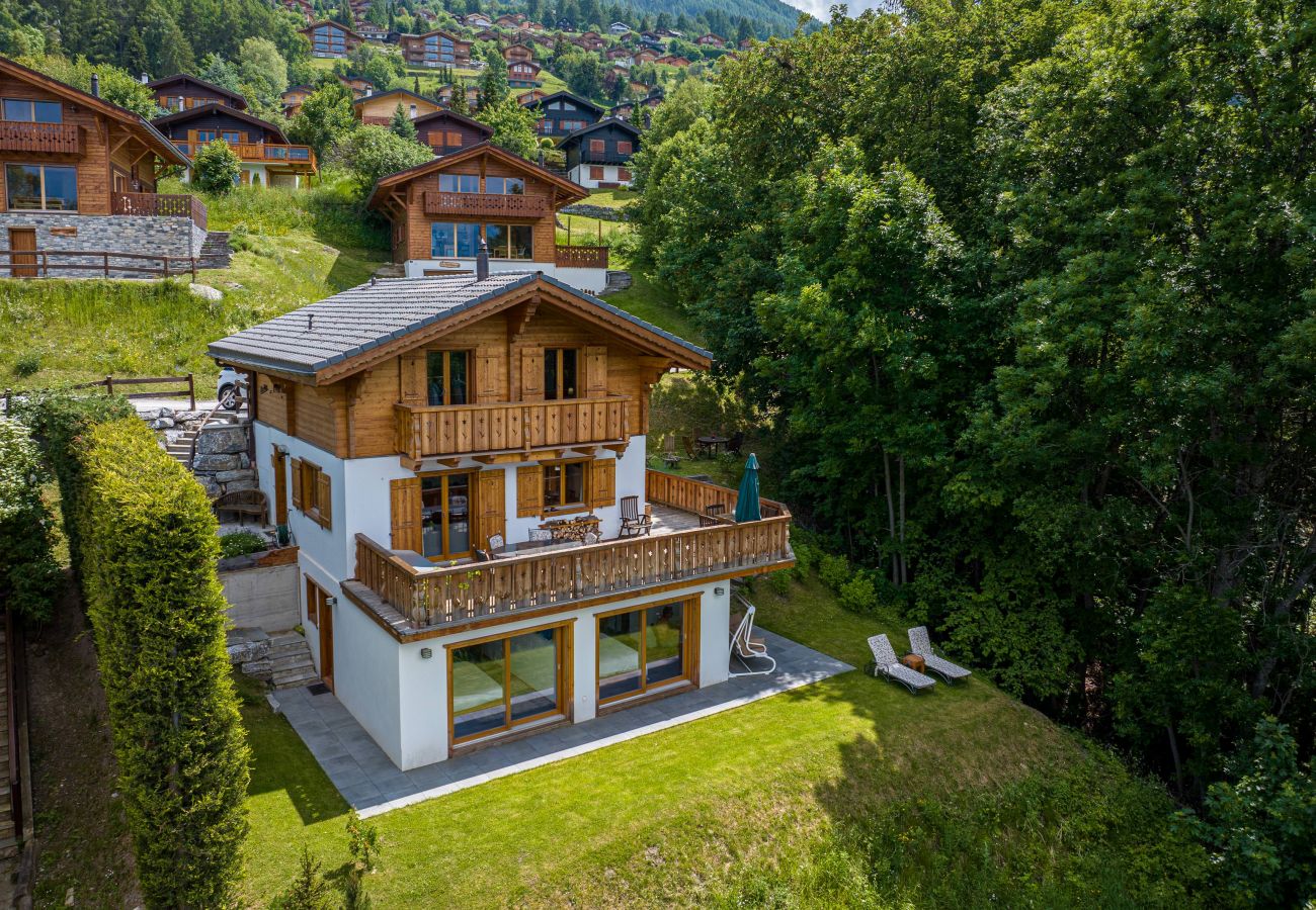 Chalet in Haute-Nendaz - Chalet La Vue, pet friendly 10 pers, amazing view