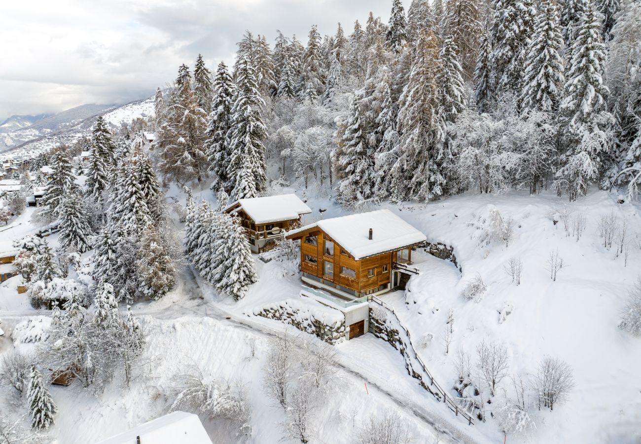 Chalet in Haute-Nendaz - Above the Clouds - spacious chalet with great view