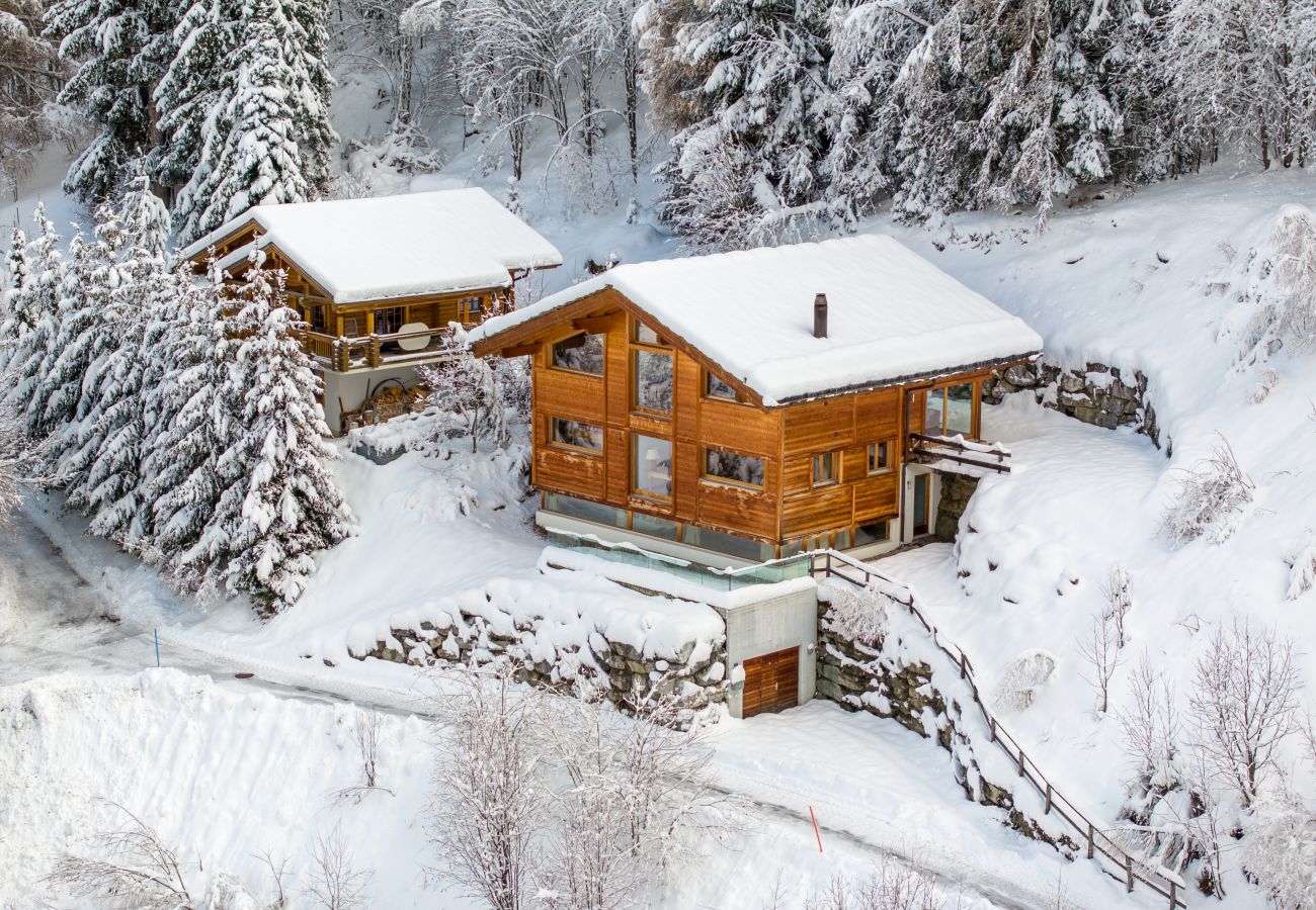 Chalet in Haute-Nendaz - Above the Clouds - spacious chalet with great view