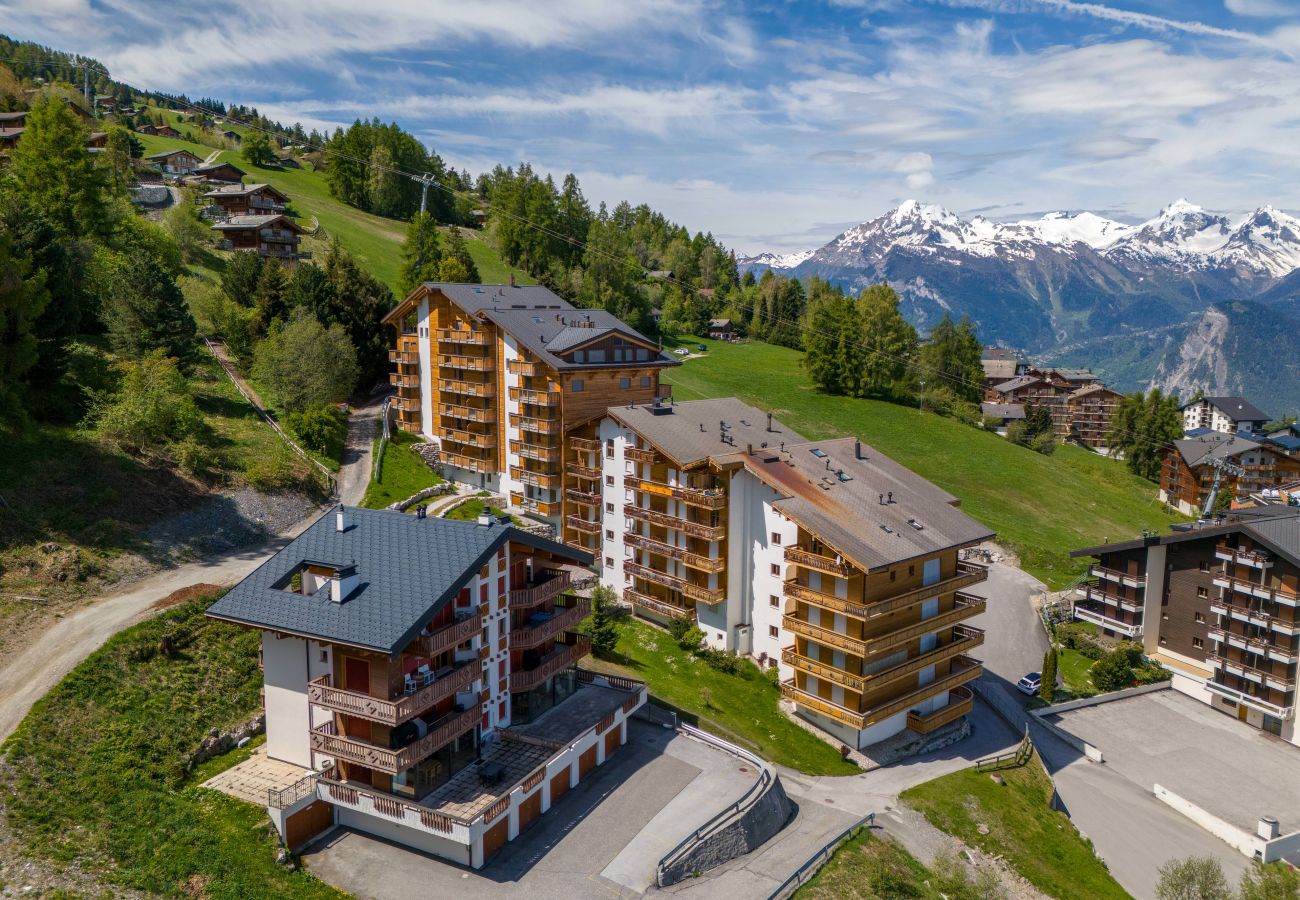 Apartment in Haute-Nendaz - Victoria - real ski-in/ski out, great view