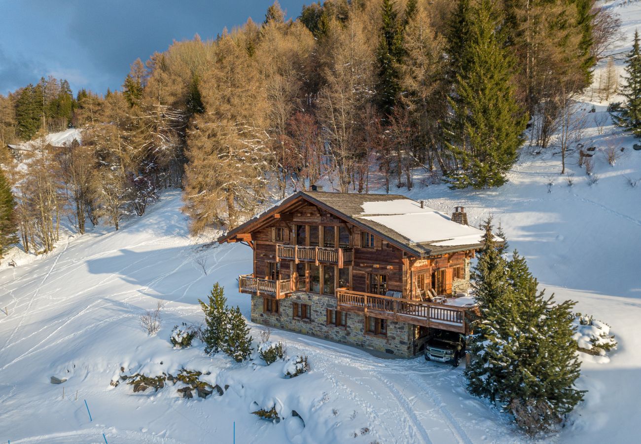 Chalet in Haute-Nendaz - Chalet Valkyria superbe ski-in ski-out