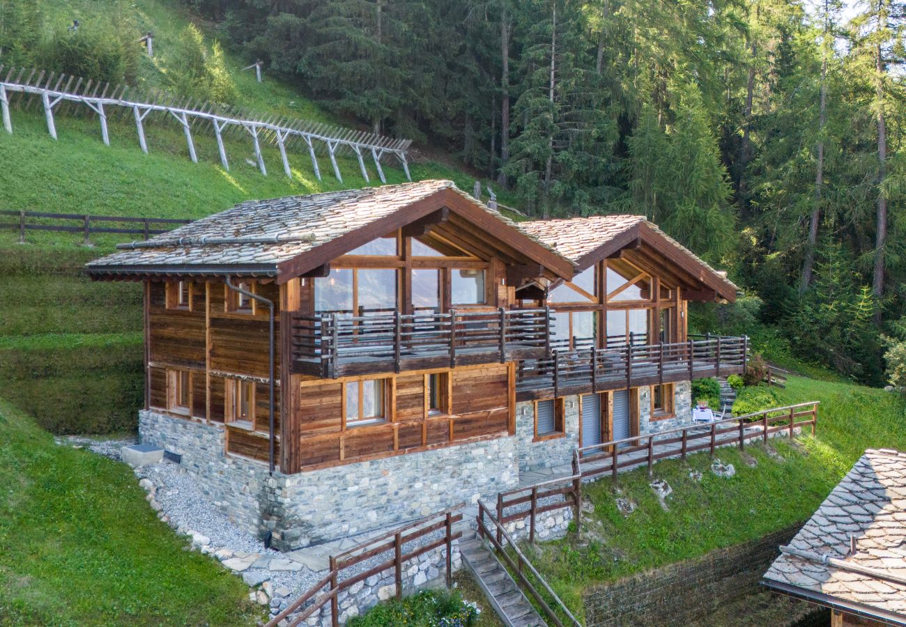 Chalet in Isérables - Chalet La Vue (Les Crettaux - Nendaz)