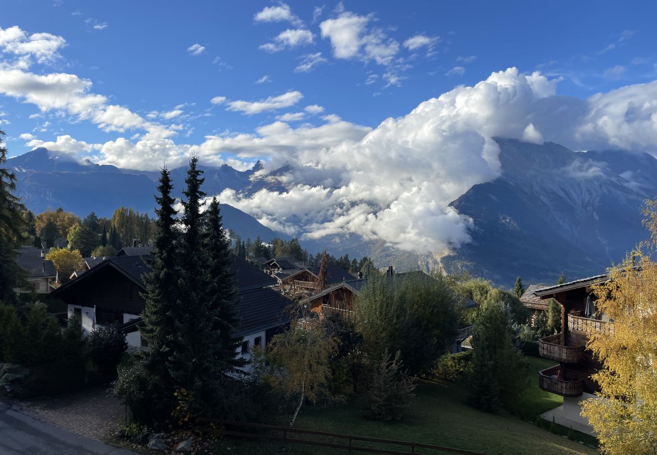 Apartment in Haute-Nendaz - Petit Nid au Chaedoz