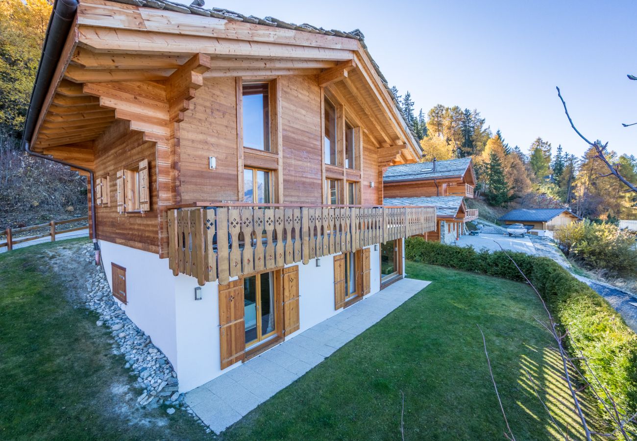 Chalet Asphodel Nendaz 4 Vallées location