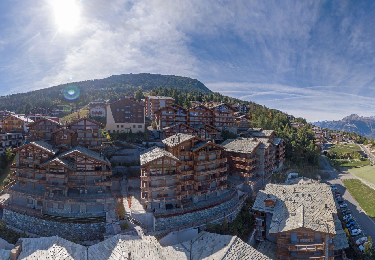 Appartement à Haute-Nendaz - Montagnard 3 - Spa access