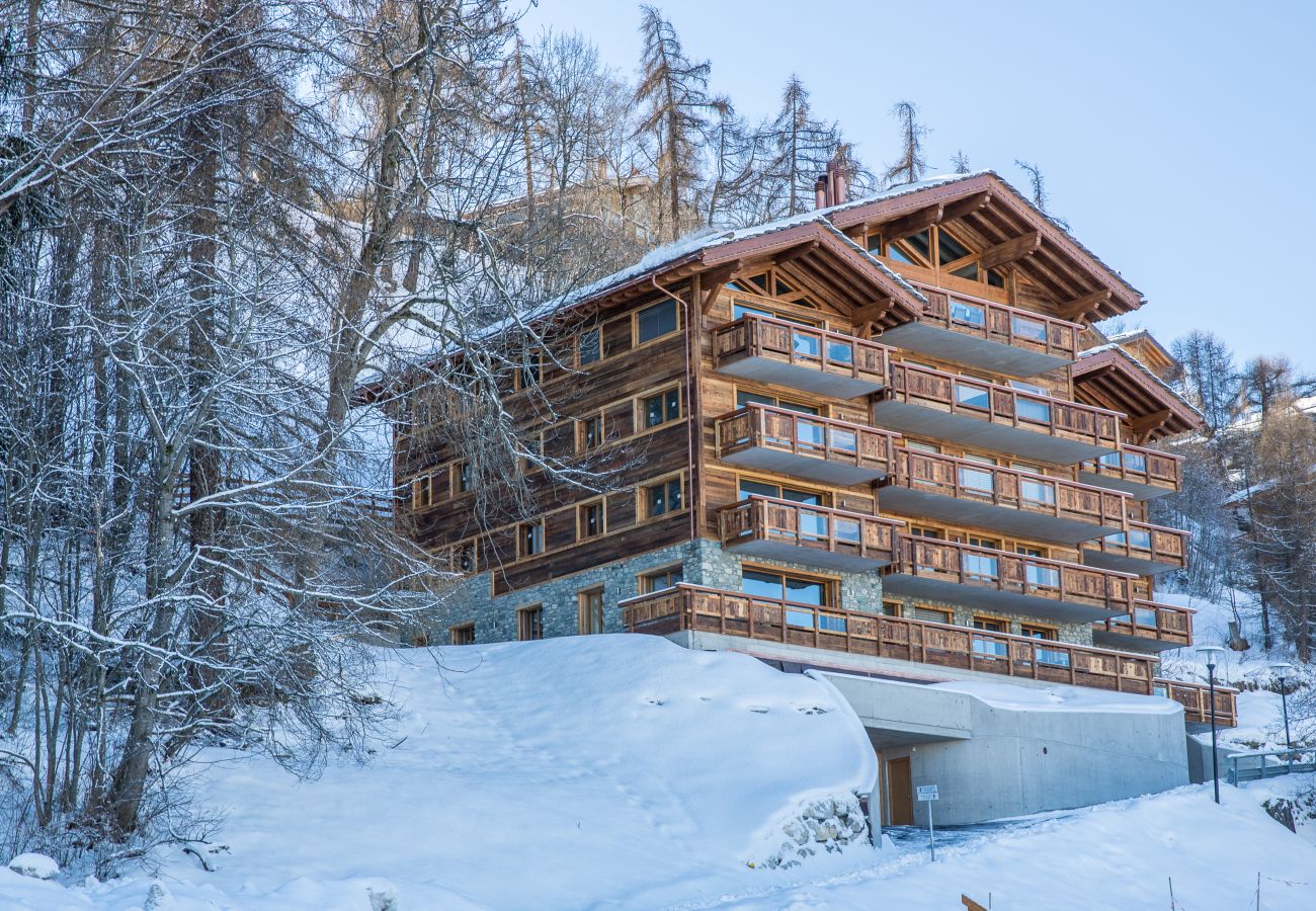 Appartement à Haute-Nendaz - Forêt 7 -  luxueux, au calme, proche du centre